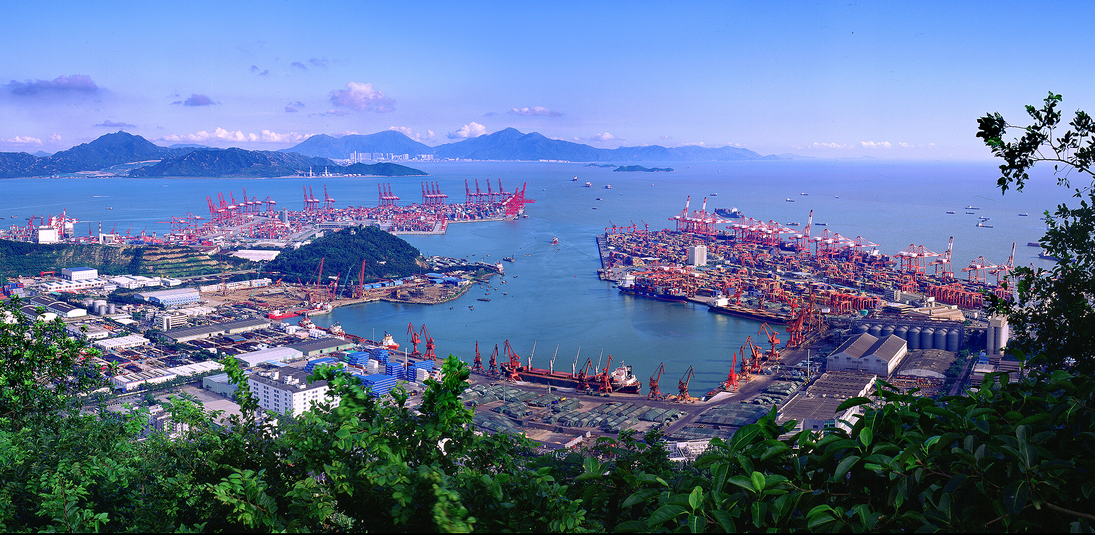 Setting up a business at the Shenzhen Free Trade Zone Setting up a business at the Shenzhen Free Trade Zone